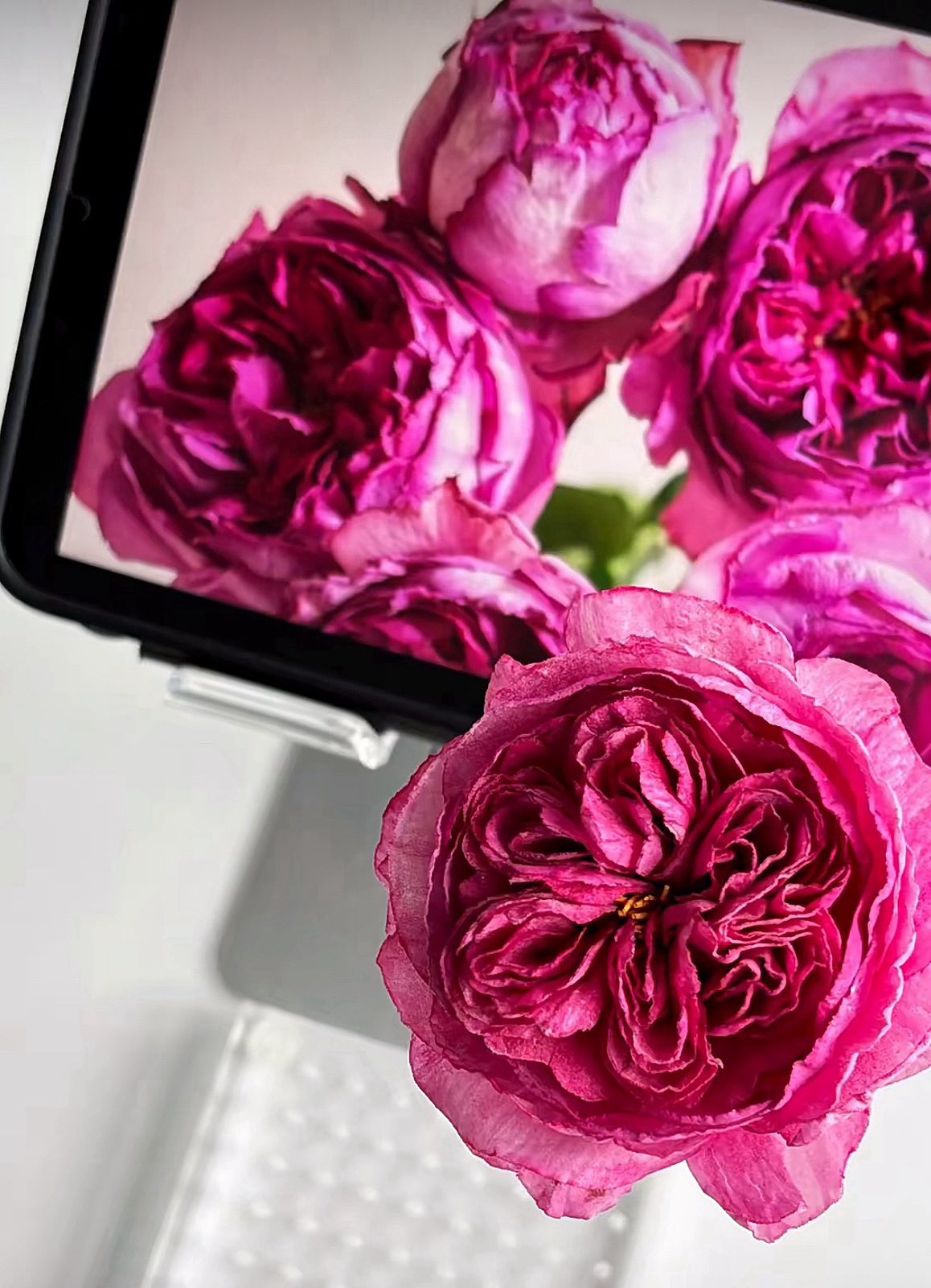 Viber_图像_2024-08-17_17-08-37-785